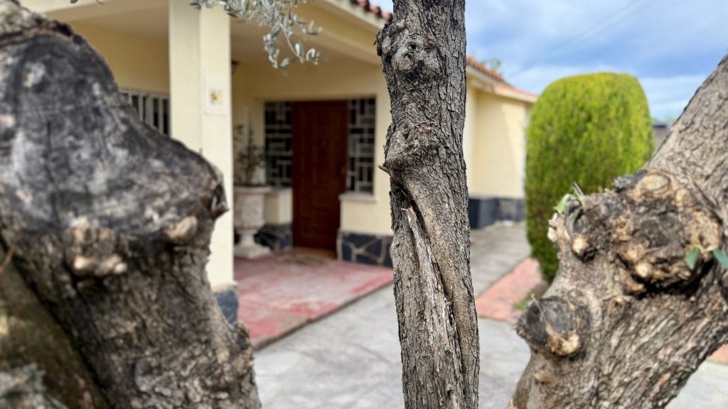 CRAE de REIR La Vinya espai exterior 